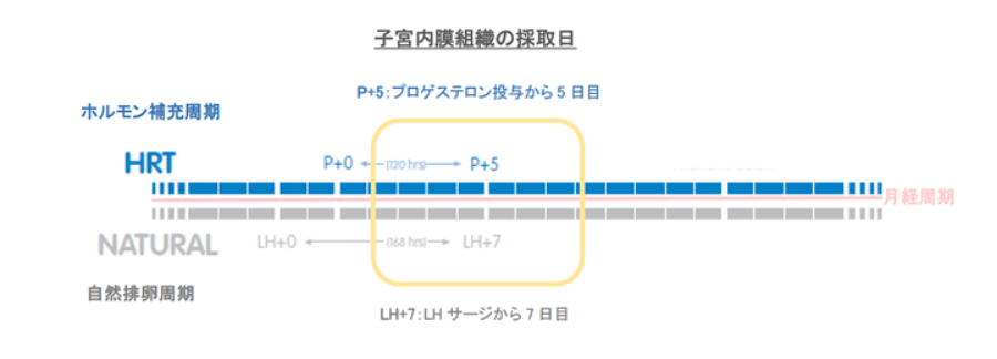 子宮内膜組織の採取日